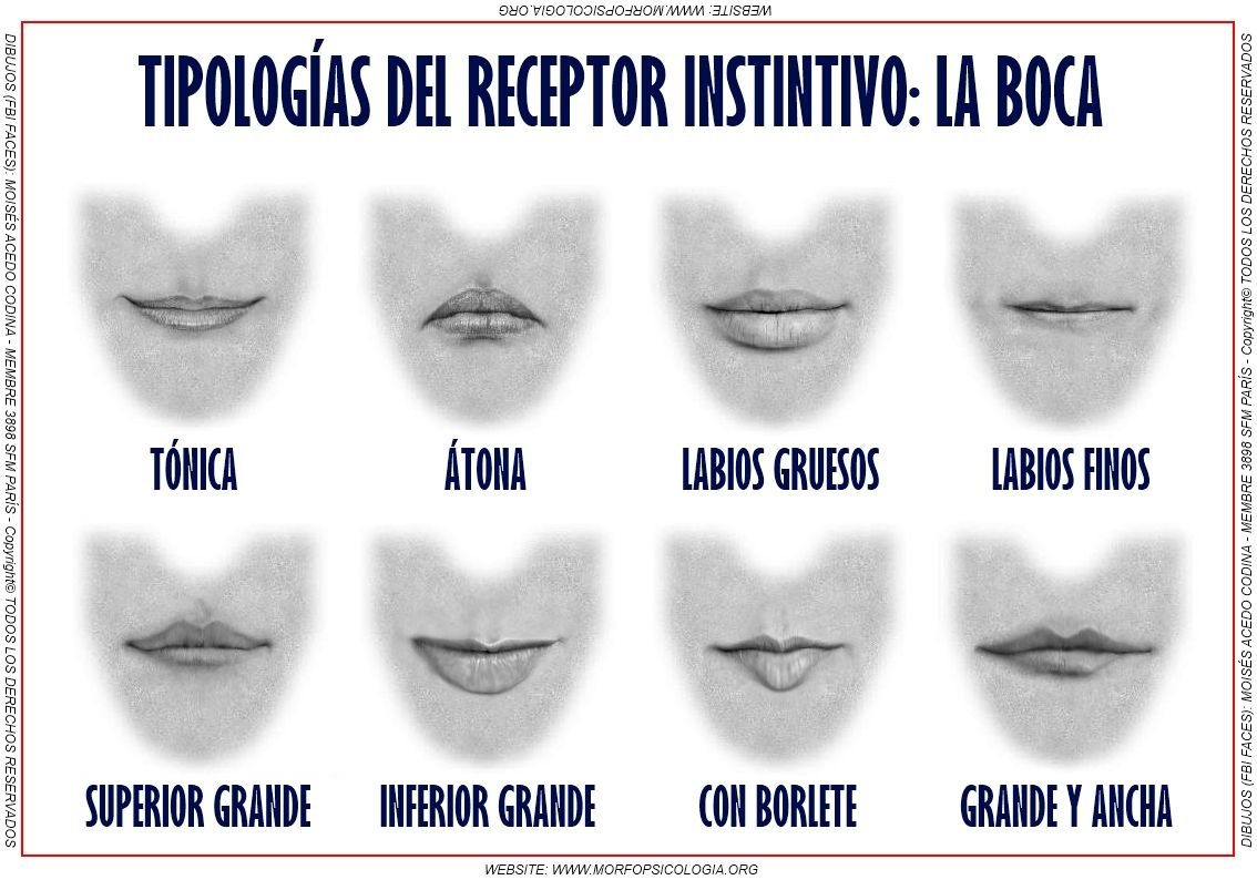 Формы нижней губы. Формы губ. Разновидности губ. Формы женских губ. Разновидности форм губ.