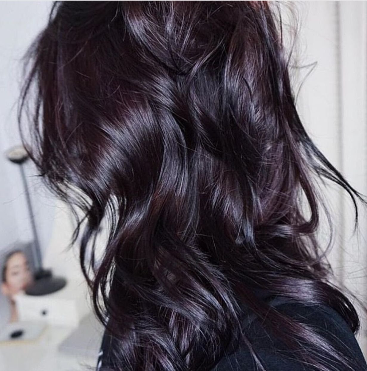 Черные волосы с отливом. Браун Вайолет цвет волос. Темниы цвета для волос. Темные волосы с фиолетовым отливом. Волосы с фиолетовым отливом.