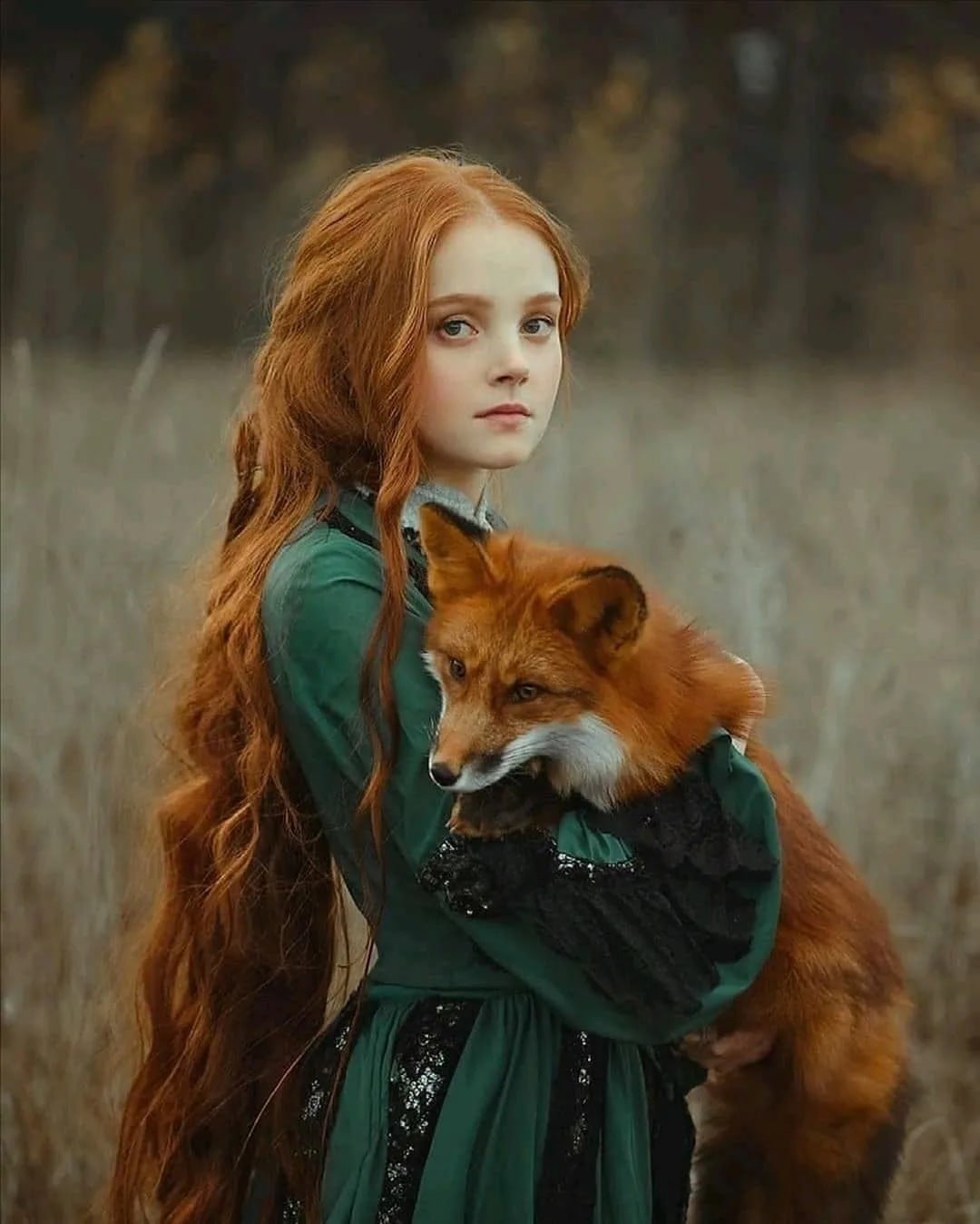 Анастасия Добровольская фотограф лисички