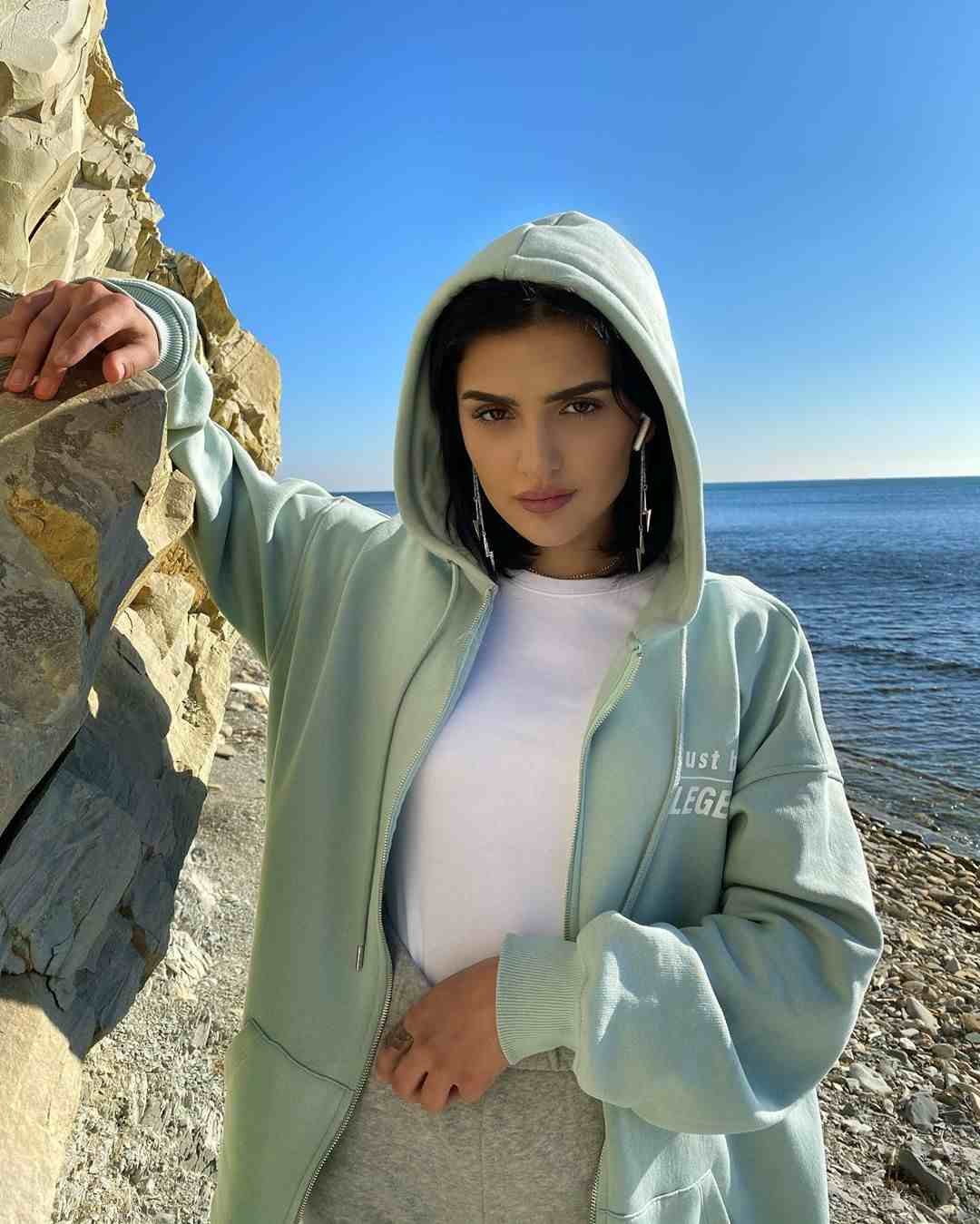 Метиска Габриэль