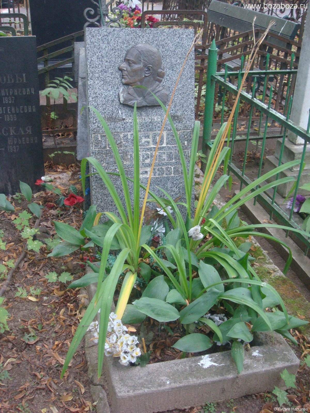 Юлия Бессарабова модель