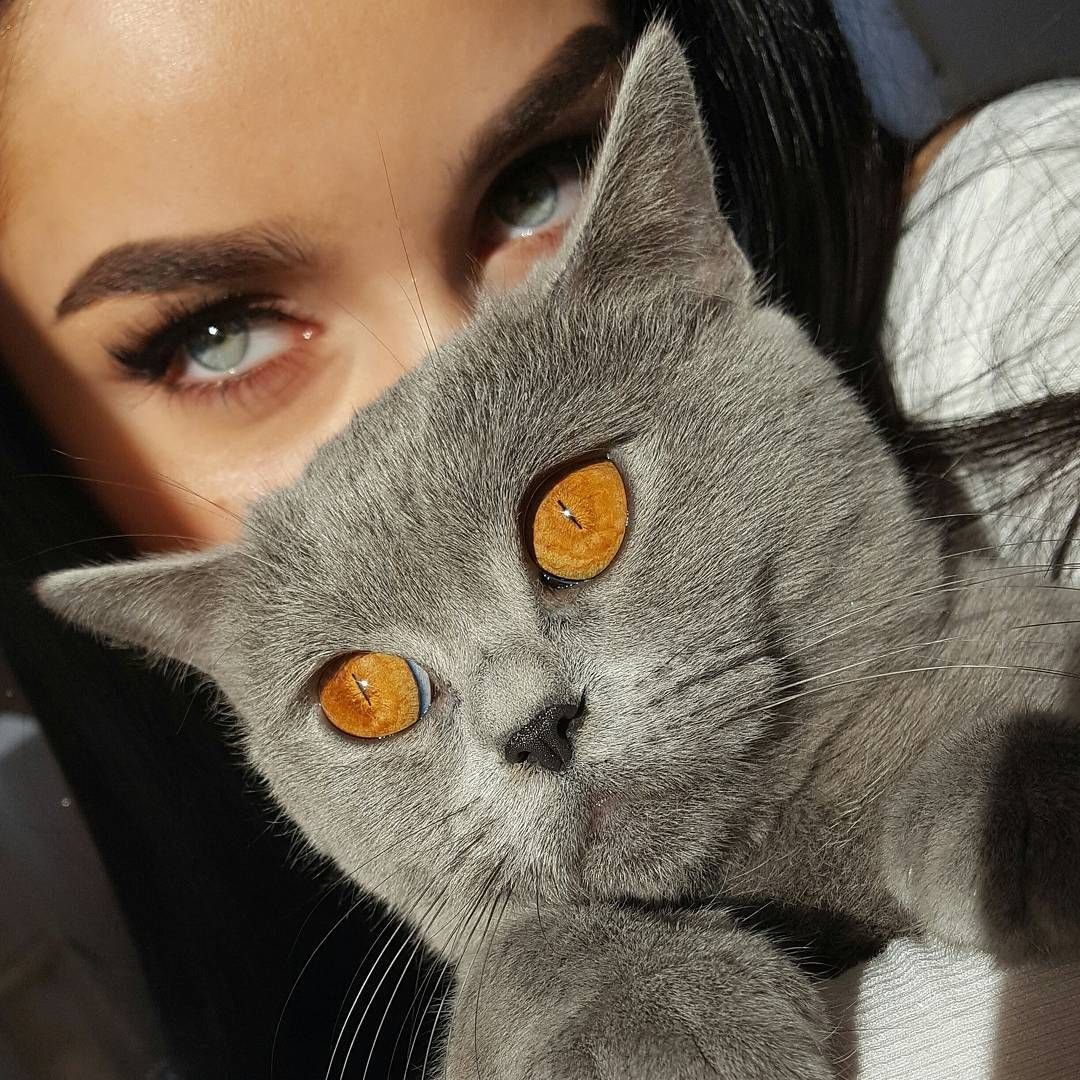 Эстетика Хейли Маршалл
