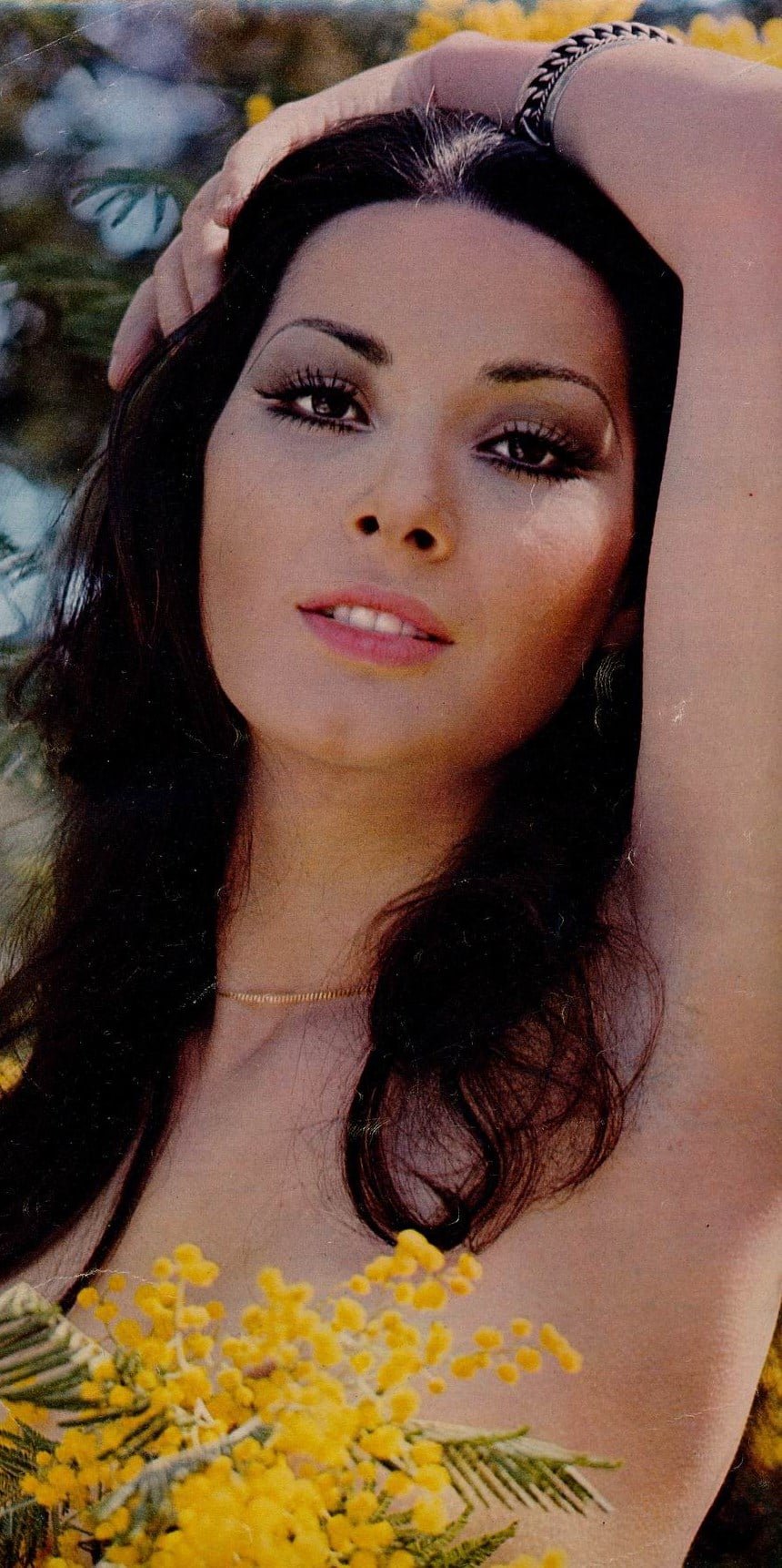 Эдвиж фенек. Фенек Эдвиж Edwige Fenech. Эдвиж фенек 2016. Эдвиж фенек 2018.