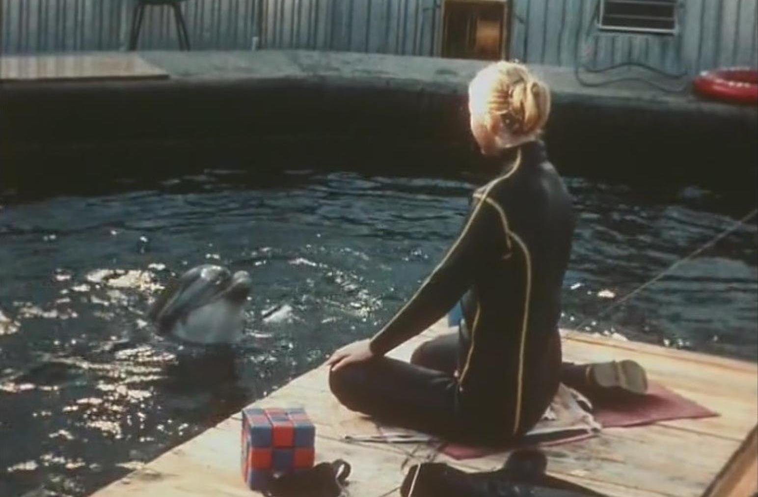 Люди и дельфины (мини–сериал 1983)