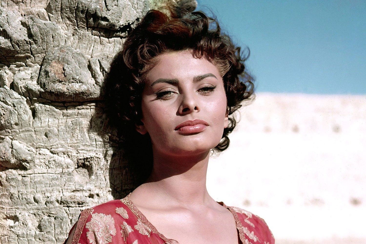 Лорен лучшие. Софи Лорен. Софи Лорен в молодости. Sophia Loren в молодости. Софи Лорен 1955.