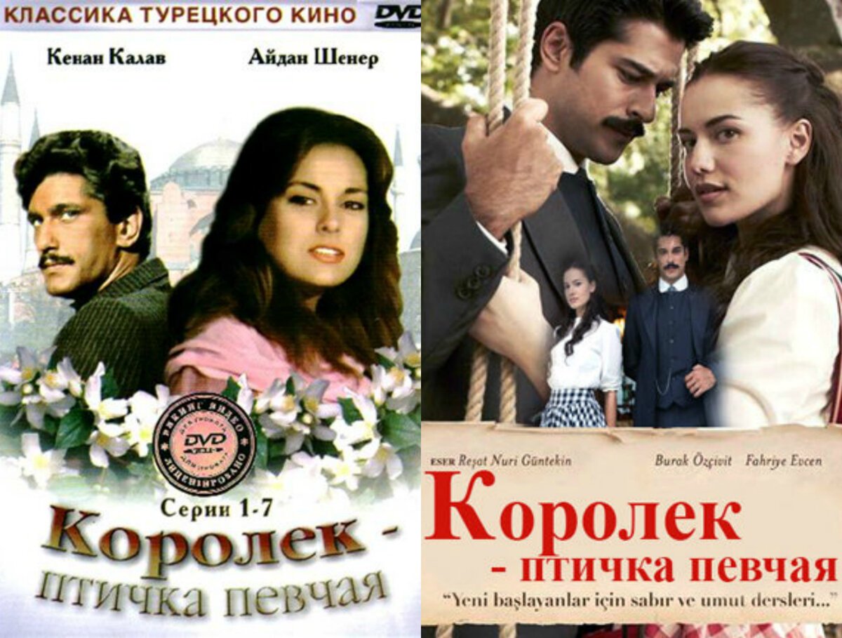 Фахрие Эвджен Фериде