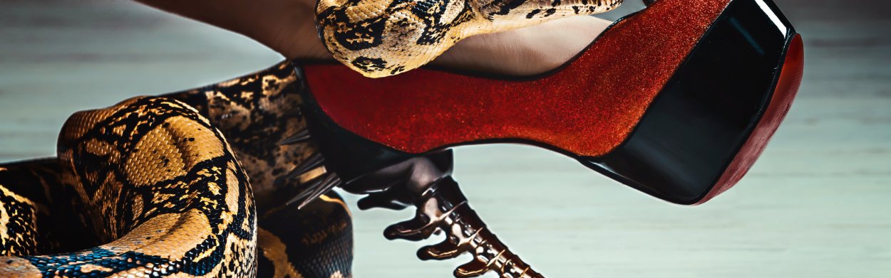Queen Letizia Style Snake Print