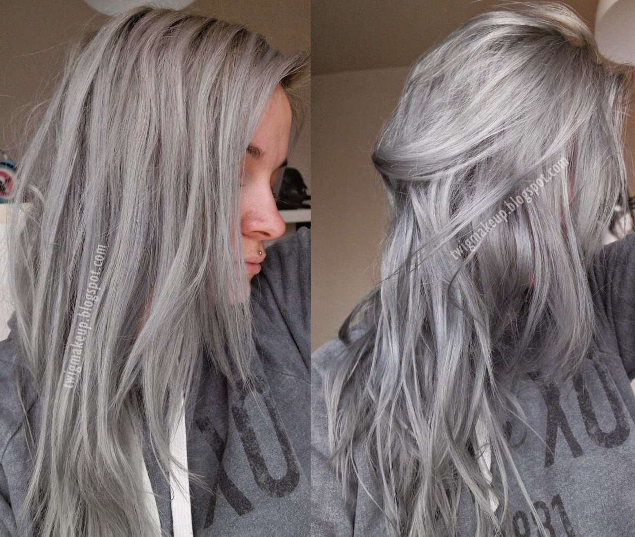 Сильвер грей ( Silver Gray )