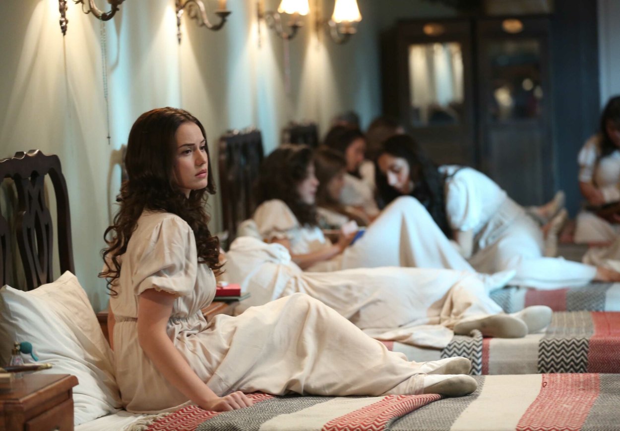 Королёк птичка певчая турецкий сериал 2013