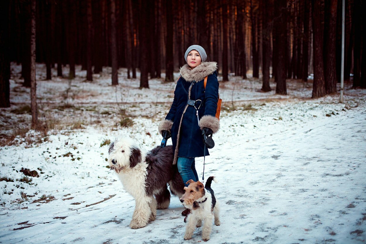 Юлия Зимина фото