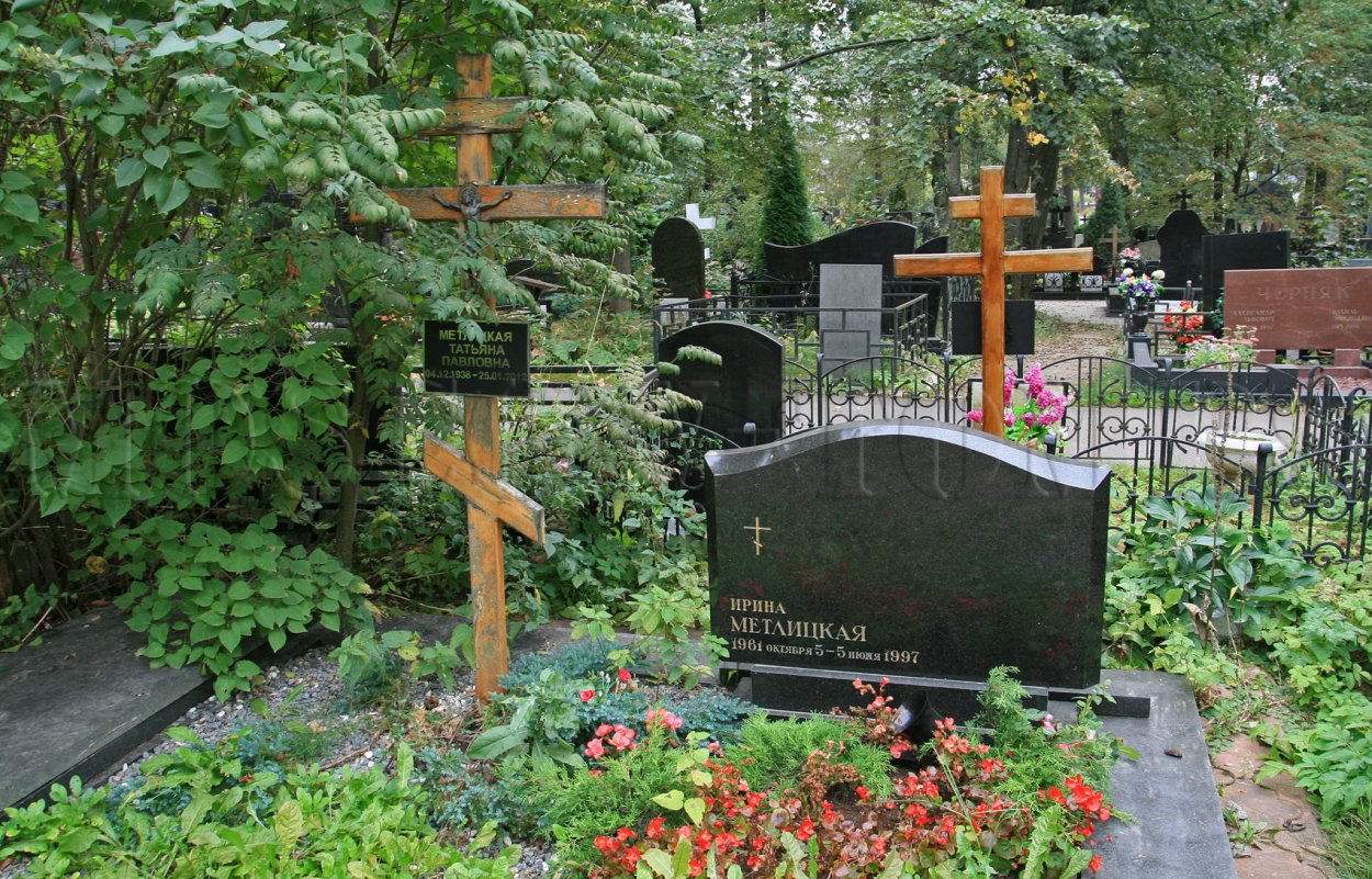 Ирина Метлицкая фото