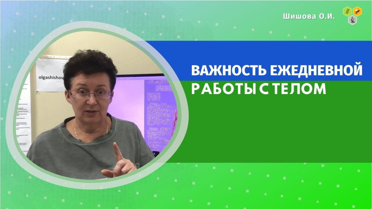 Сорокина Яна Рашитовна