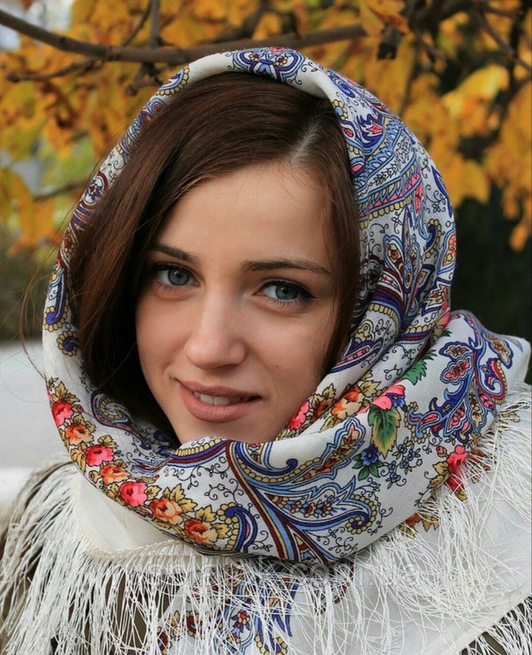 Павлово Посадский платок сон бабочки