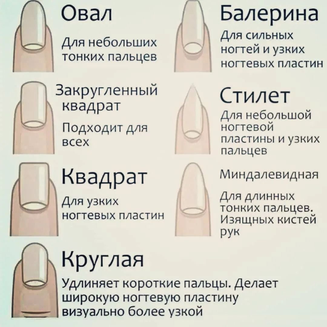 Виды форм ногтей