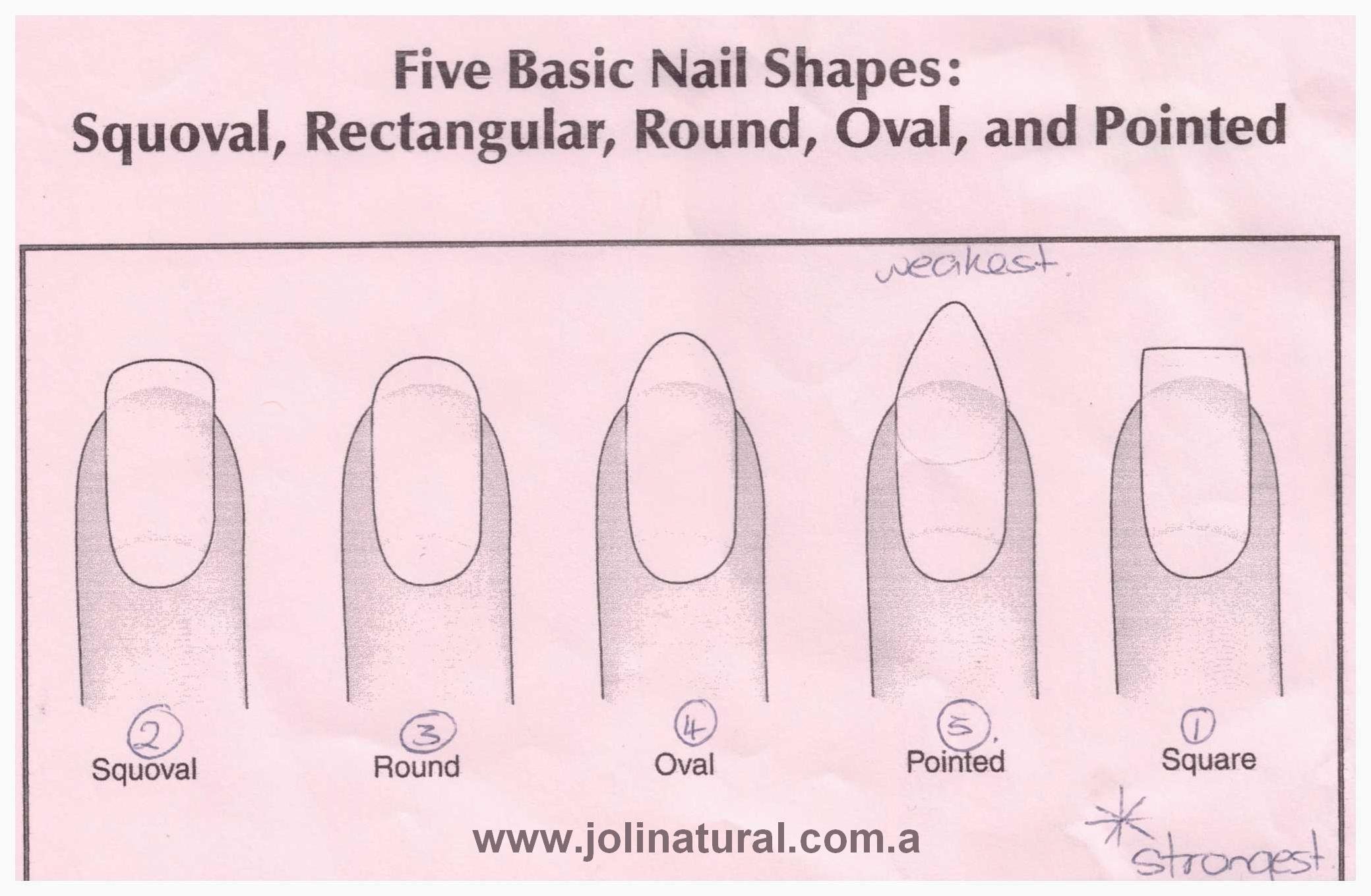 Формы под ноготь. Формы ногтей. Форма ногтей разновидности. Формы ногтей и их названия. Форма ногтей для маникюра.