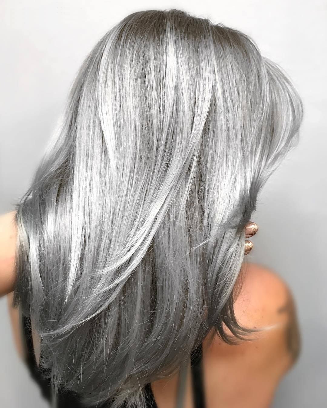 Сильвер грей ( Silver Gray )