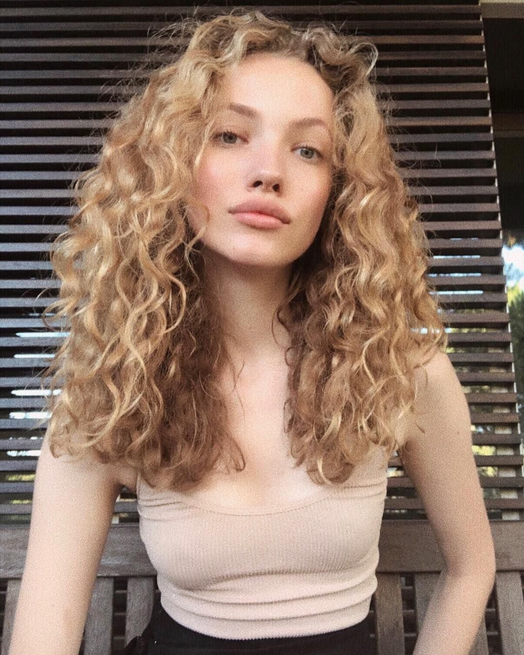 Curly Fox модель