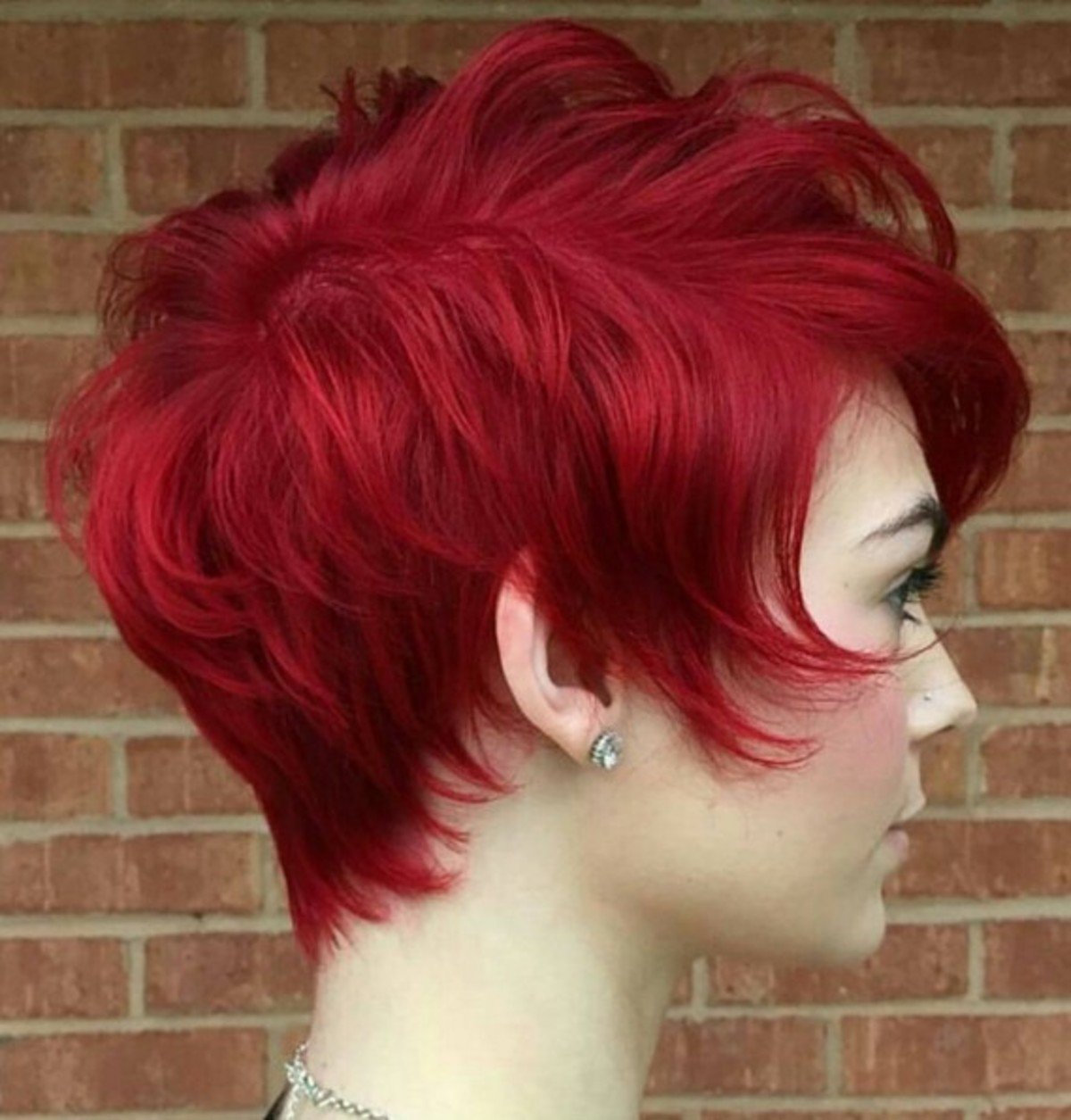 Pixie Bob стрижка красный