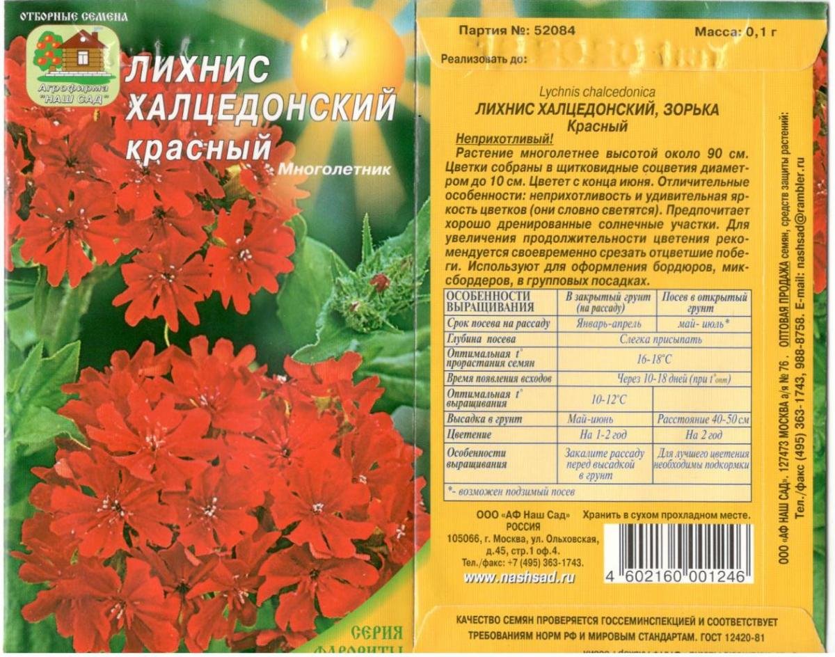 Лихнис халцедонский Зорька Гавриш