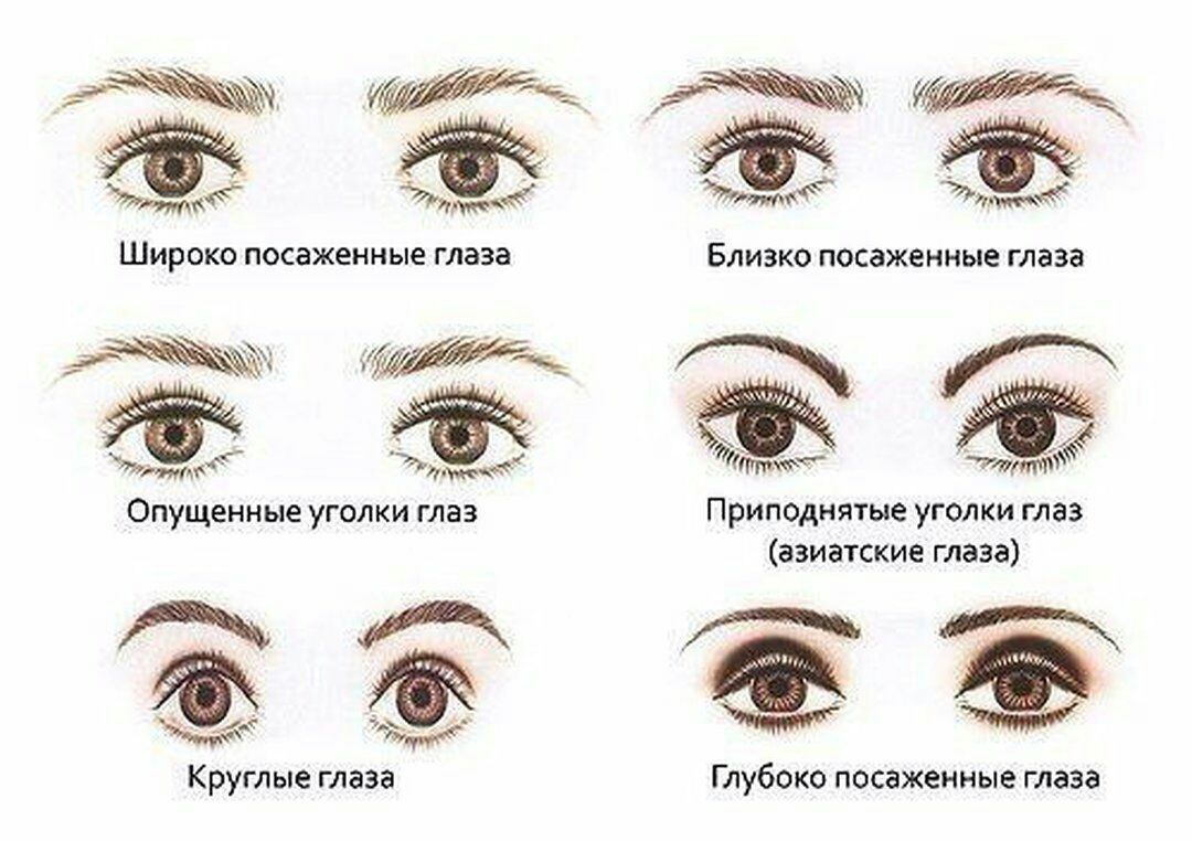 Форма глаз круглая щелевидная и миндалевидная