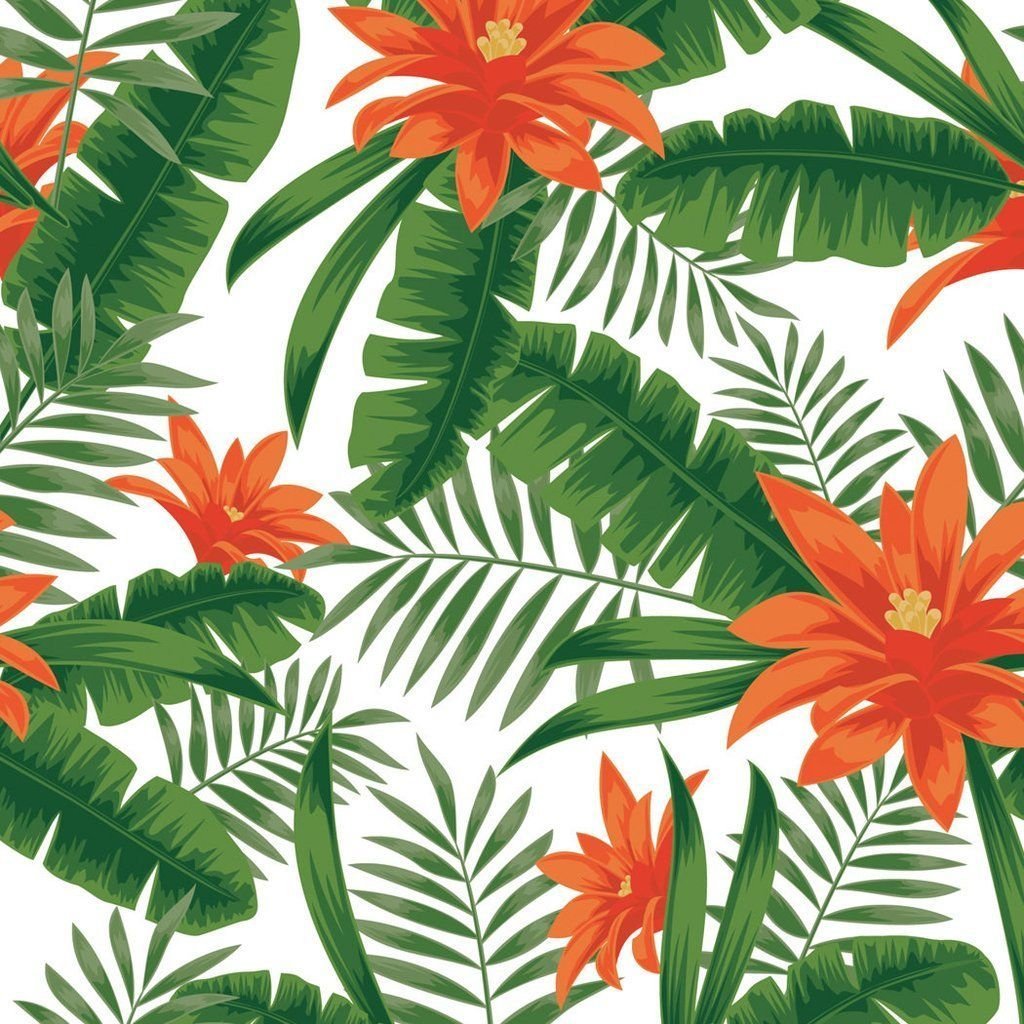 KP Tropical