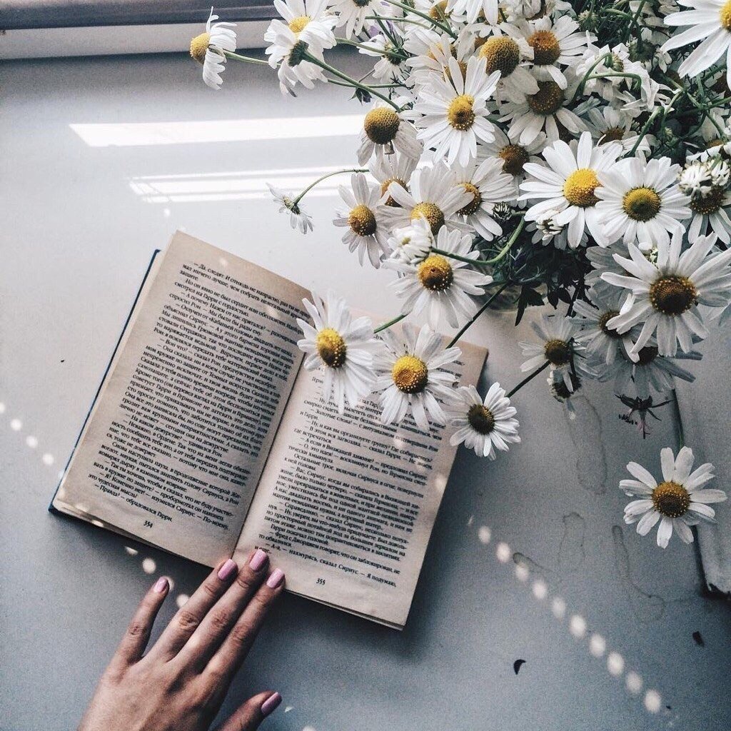 Ромашки и книги