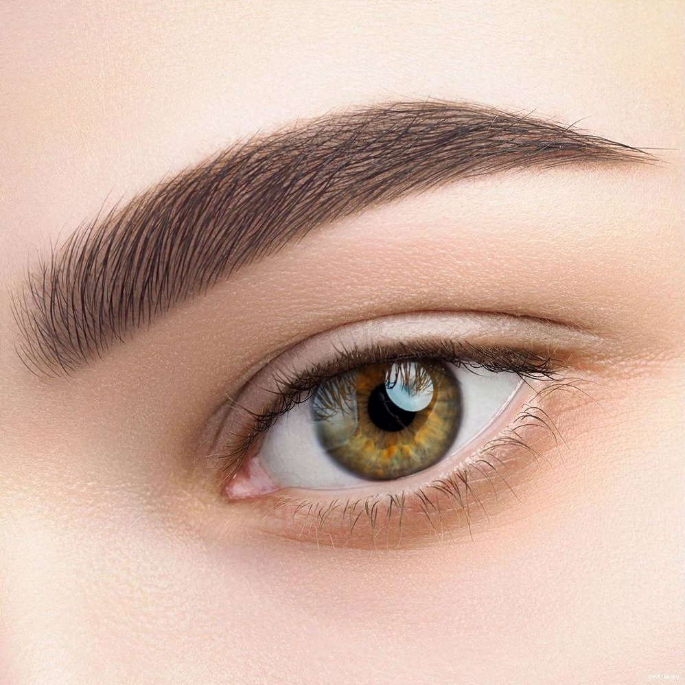 Тени для бровей Relouis Pro Brow