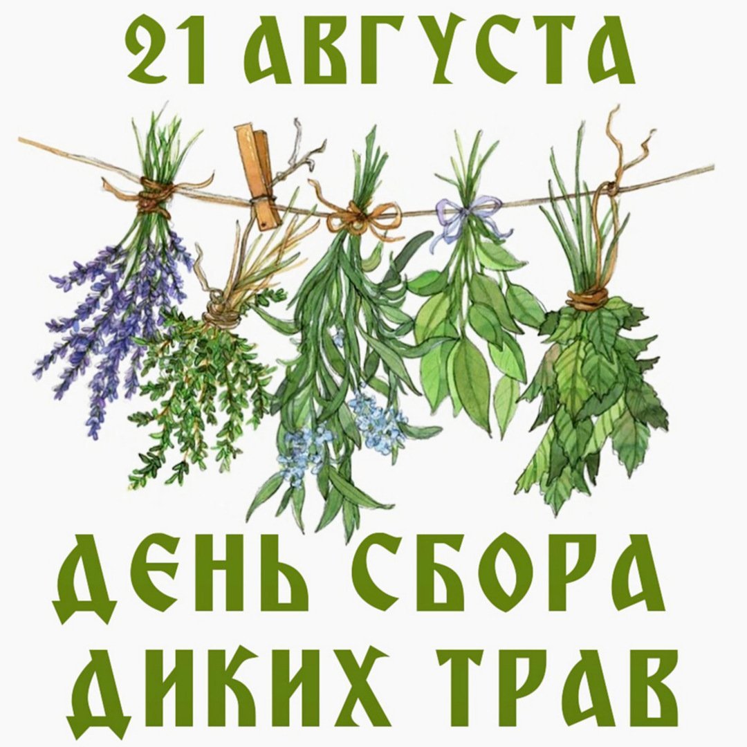 День сбора диких трав 21 августа