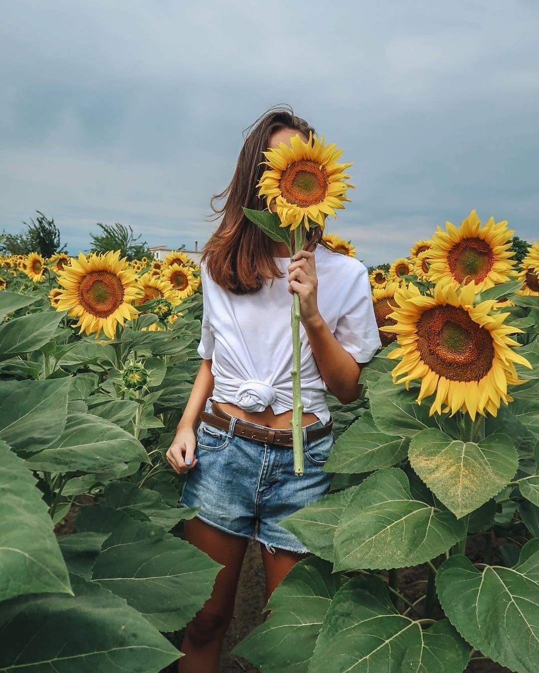 Крутая фотосессия в подсолнухах