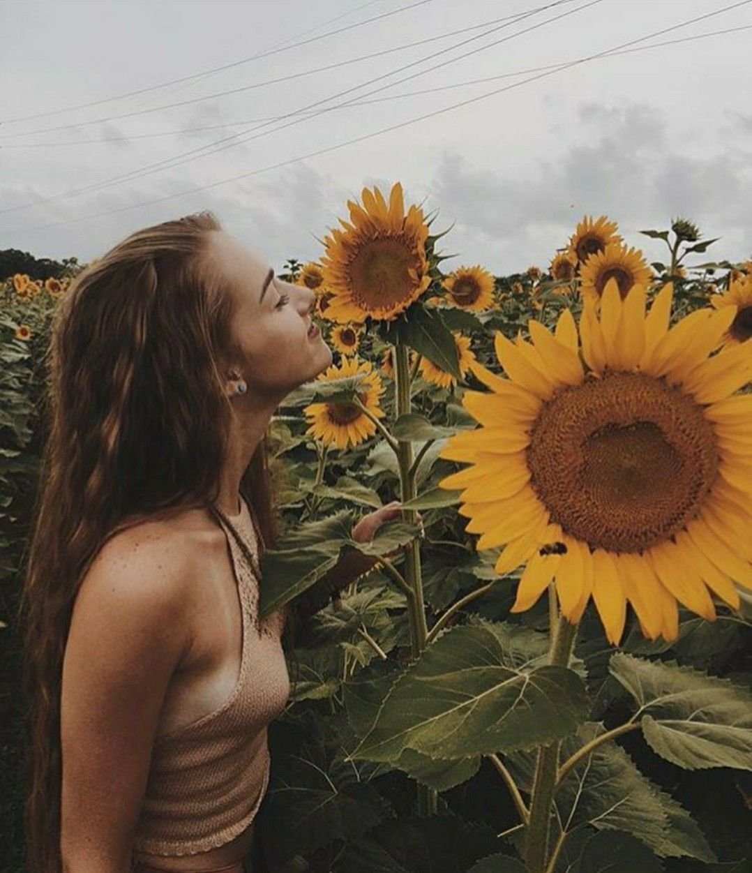 Фотосессия летом в подсолнухах