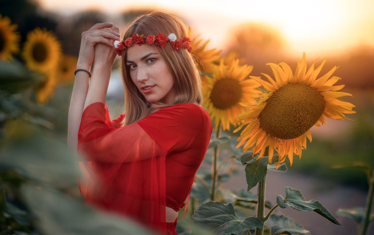 Август девушка Подсолнухи
