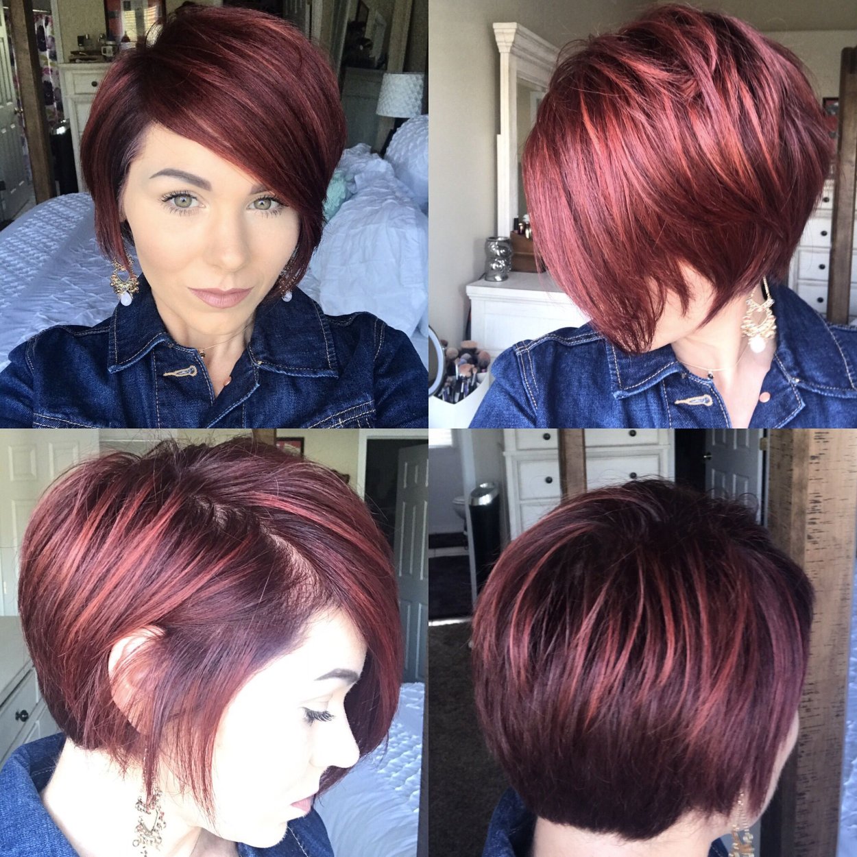 Pixie Bob стрижка красный