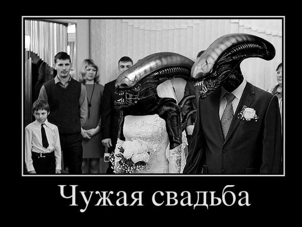 Свадьба демотиватор