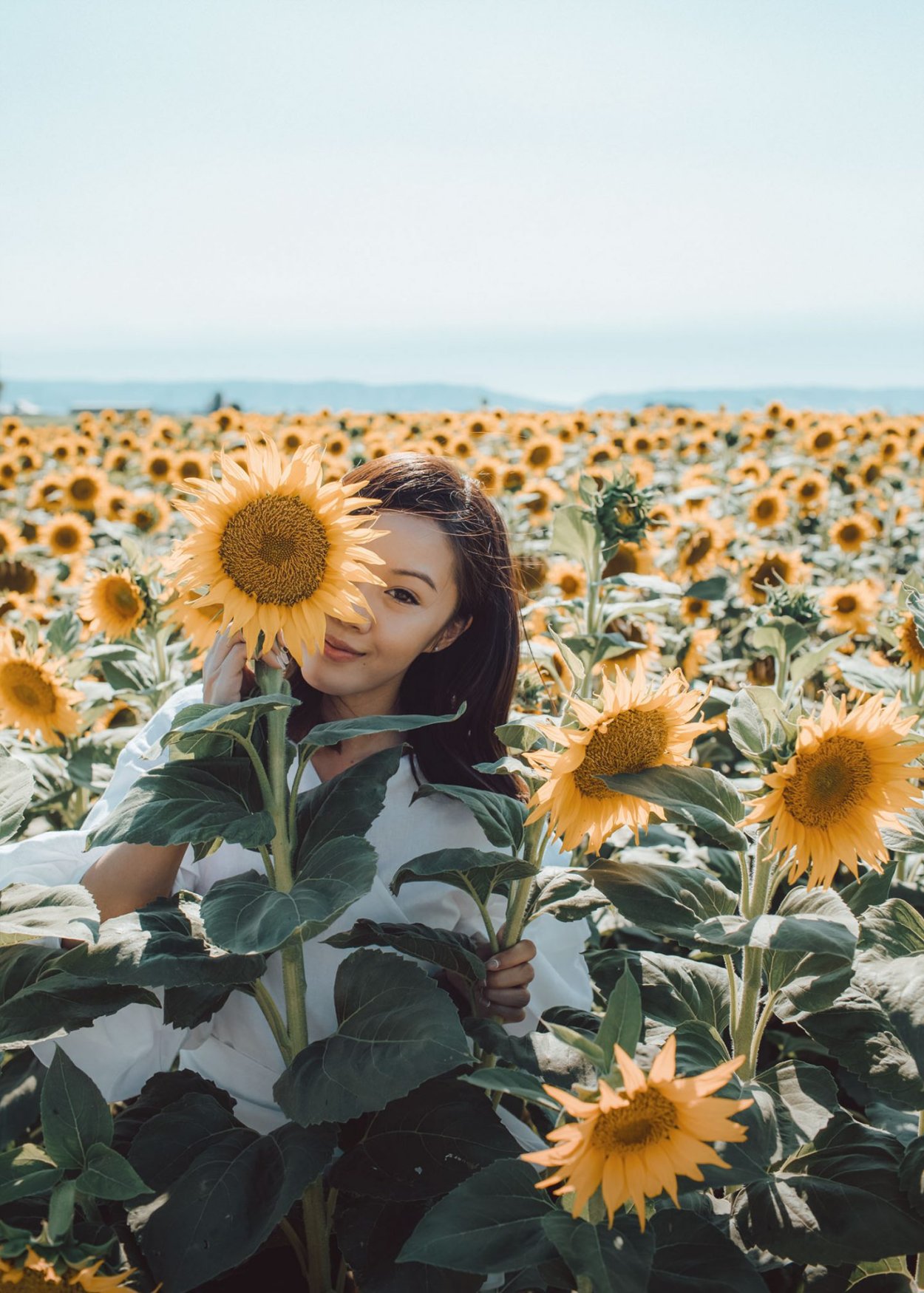 Фотосессия на подсолнечном поле