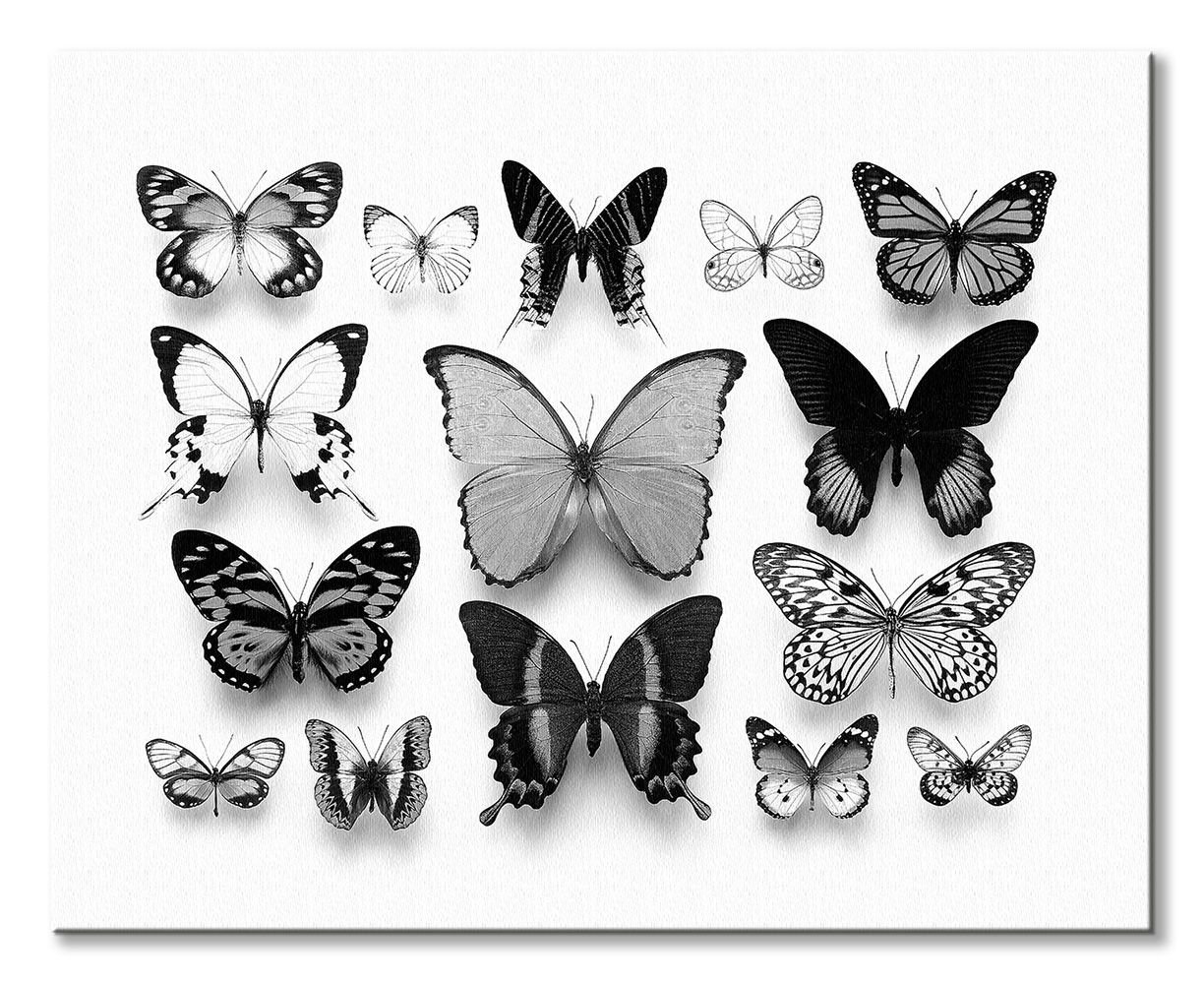 White Butterfly Print