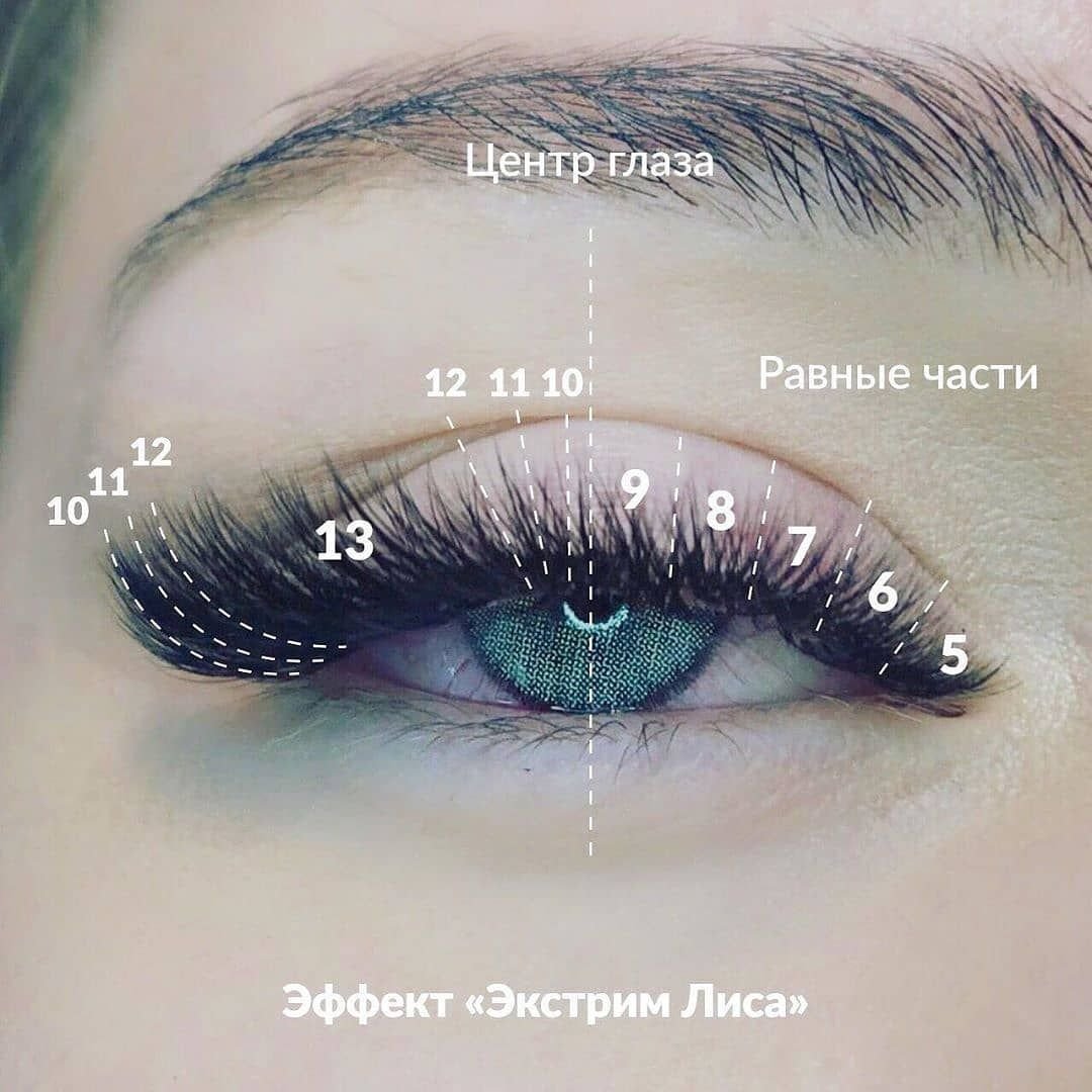 Экстра лиса схема наращивания