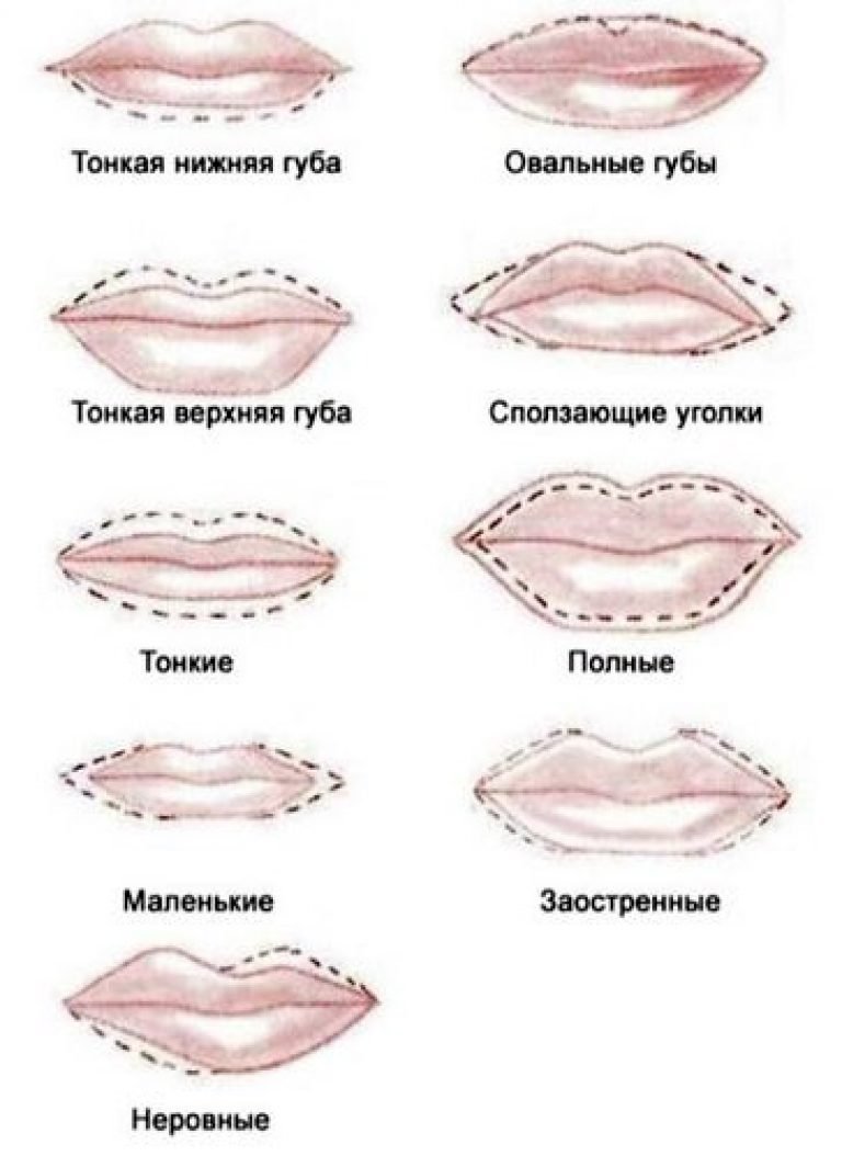 Формы губ и их названия
