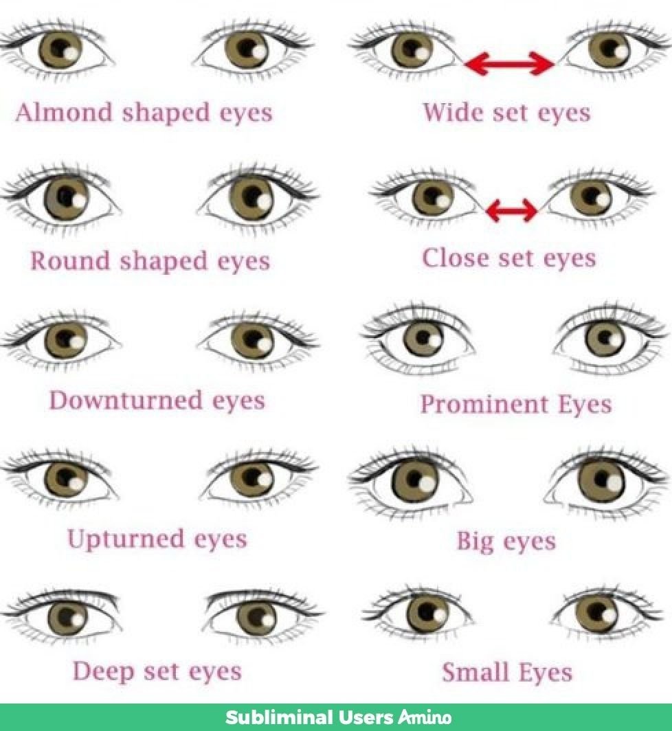 Какие есть формы глаз. Типы глаз. Формы глаз. Форма глаз и название. Разные типы разреза глаз.