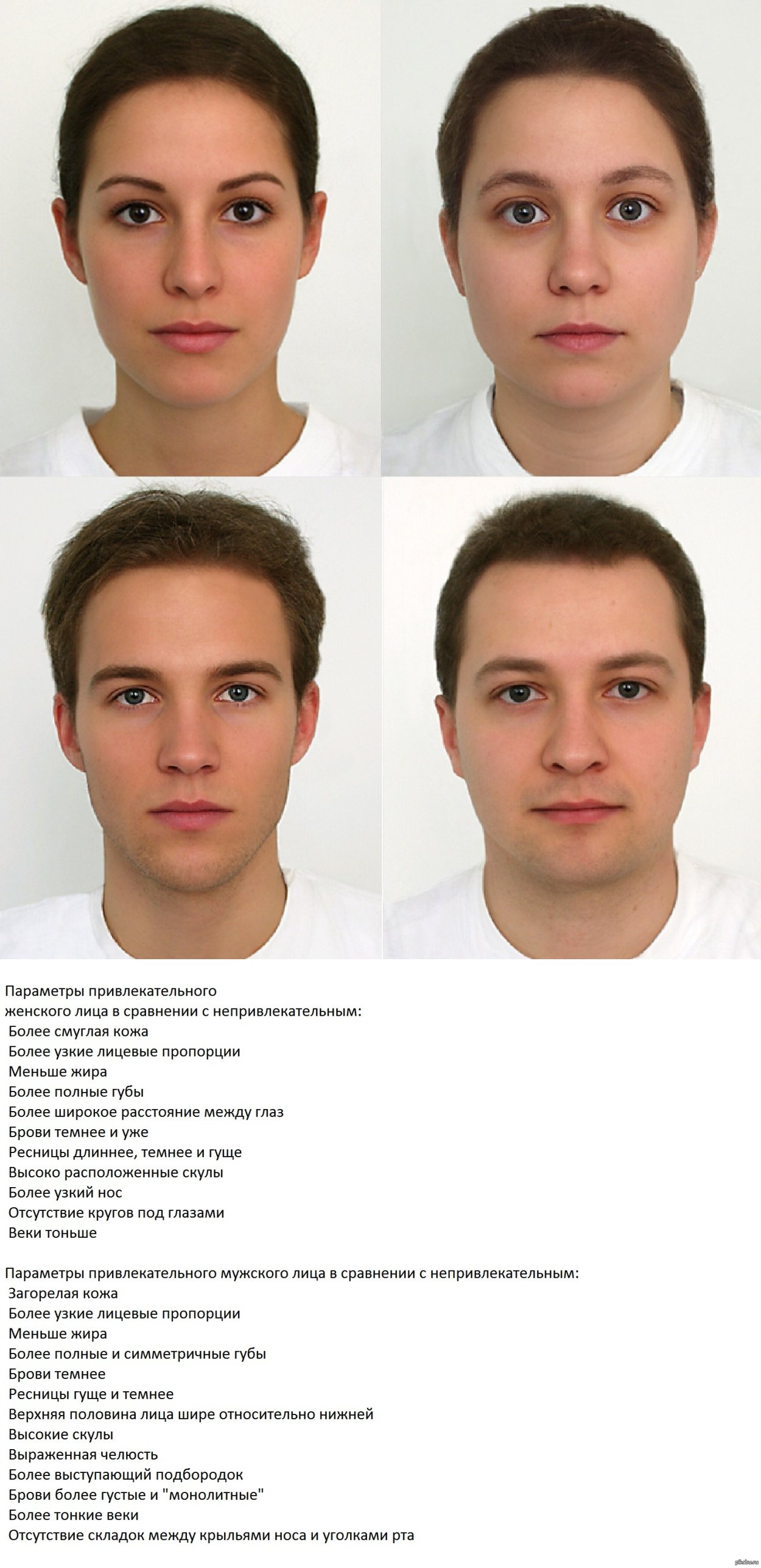Мужское и женское лицо