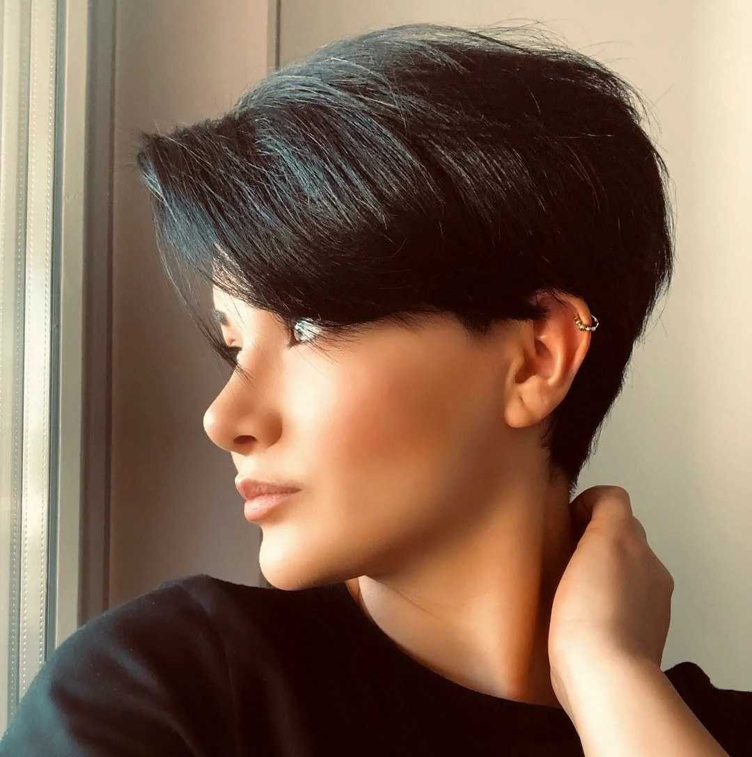 Pixie Bob