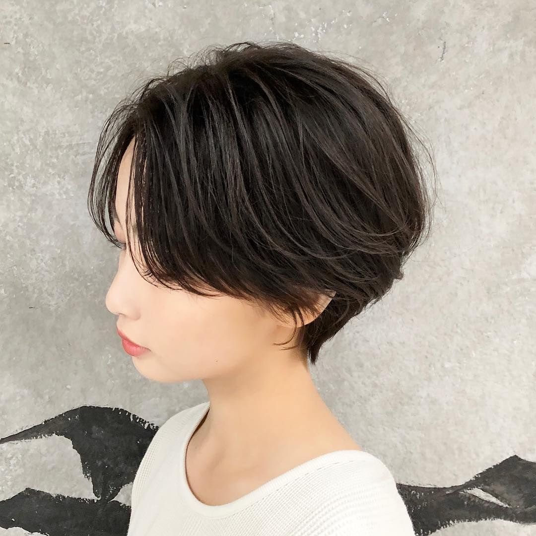 Pixie Bob стрижка Корея