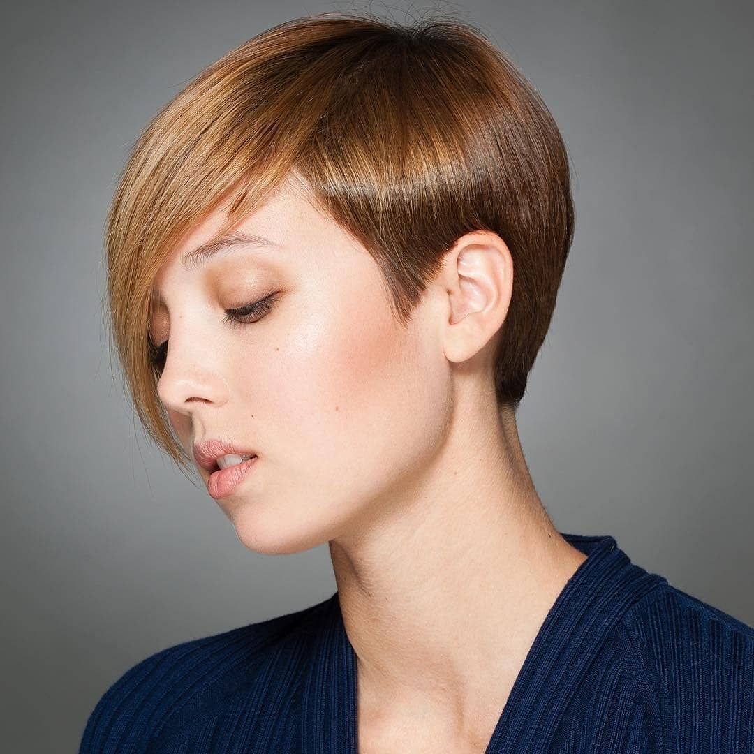 Асимметричный Pixie Bob