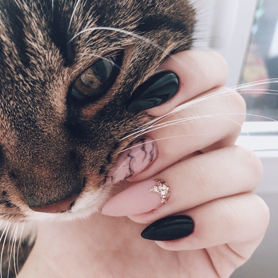 Маникюр с котиками