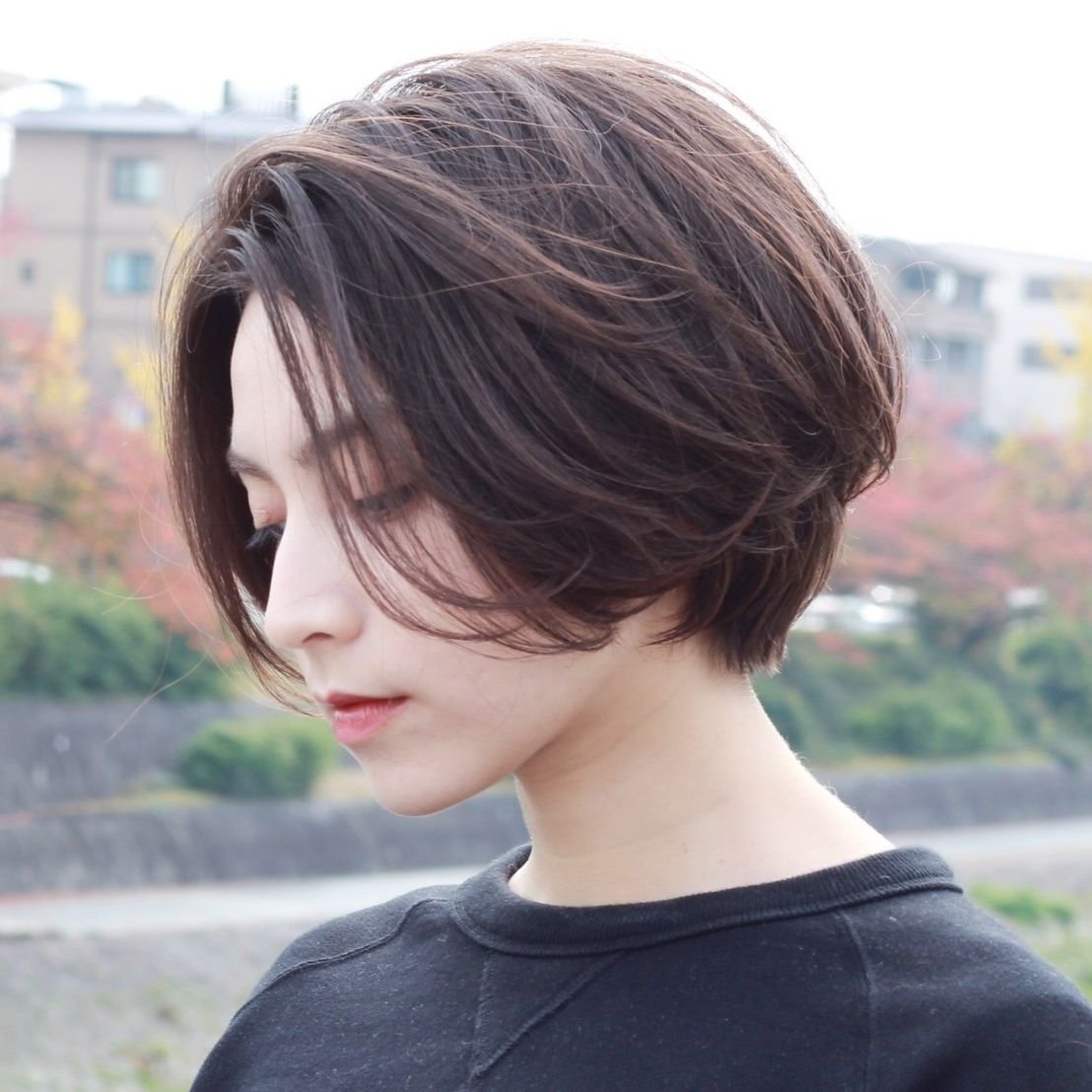 Pixie Bob стрижка Корея Томбой