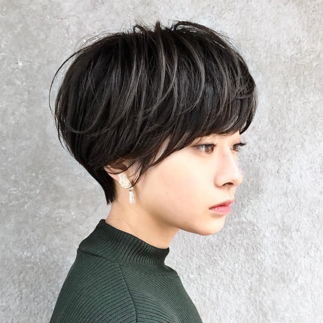 Pixie Bob стрижка Корея
