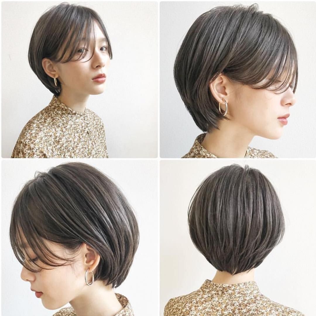 Pixie Bob стрижка Корея