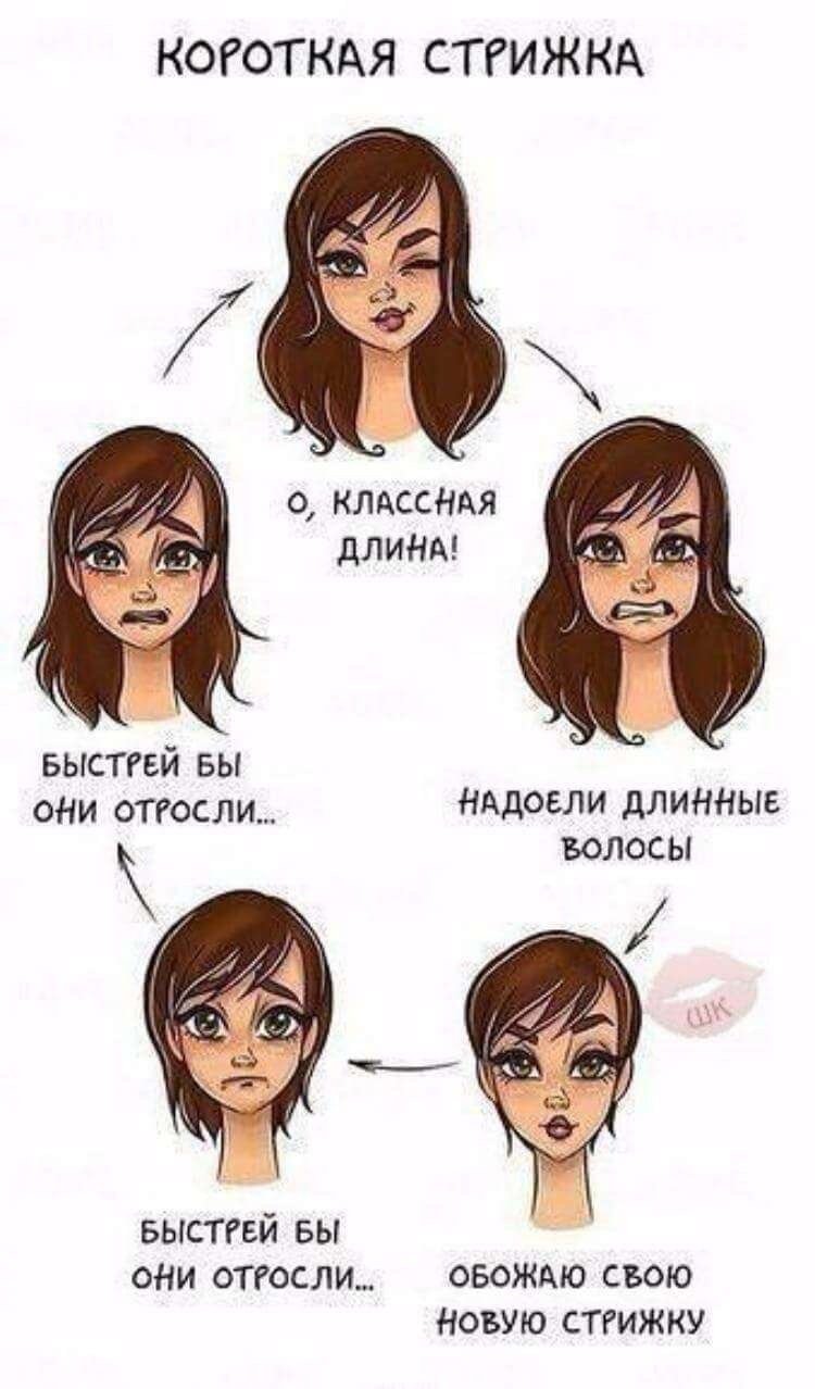 Стрижка прикол