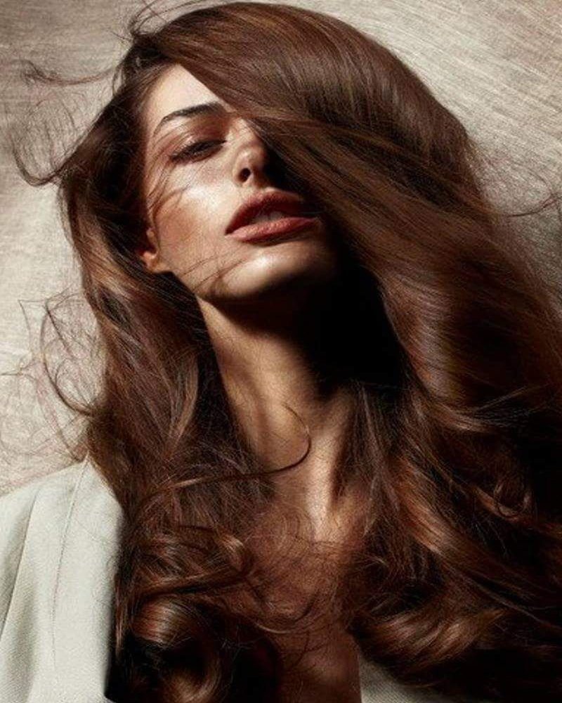 Chestnut Brown цвет волос