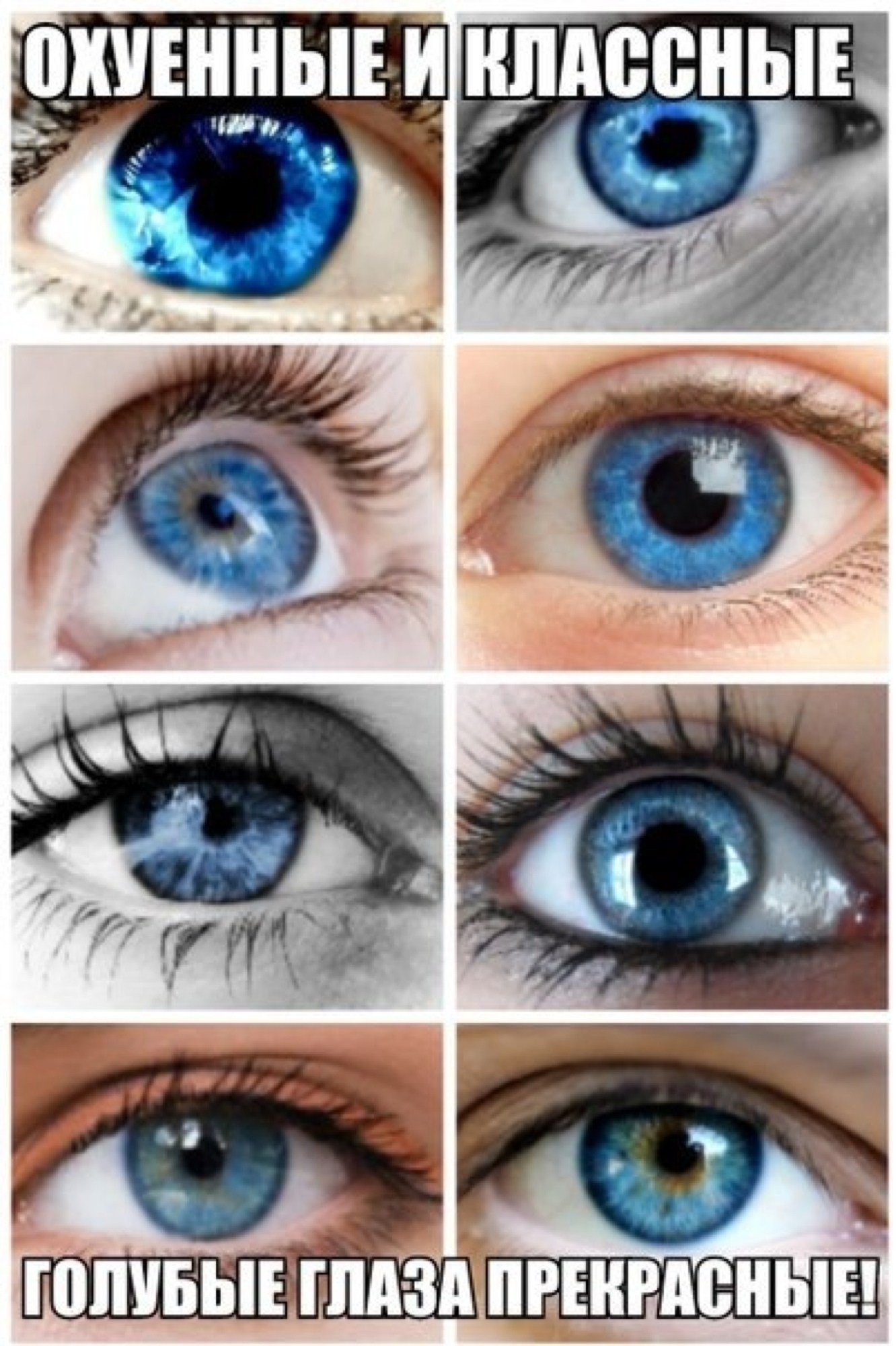 Голубым как отличить. Цвет глаз. Голубые глаза. Разновидности голубых глаз. Серо-синий цвет глаз.