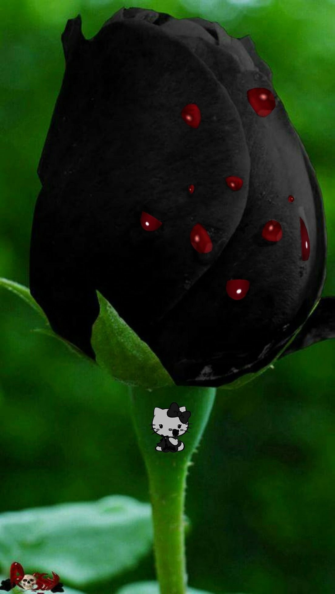 Черная роза